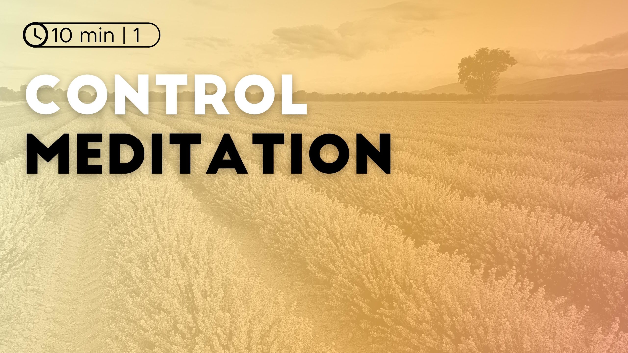 Control Meditation